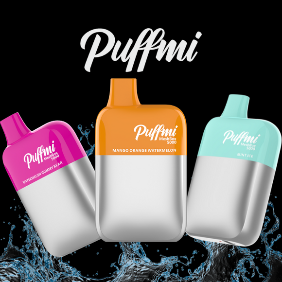 Puffmi MeshBox 5000 Puffs Disposable (2% Nicotine) | Premium Vapes shop UAE