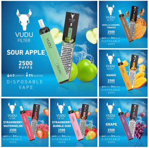 VUDU Filter Disposable 2500 Puffs (5% Nicotine) | Premium Vapes shop UAE